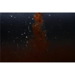 ATTRACTANT LIQUIDE STICKY BAITS CLOUDY BLOODWORM LIQUID -Pêche Soldes Boutique attractant liquide sticky baits cloudy bloodworm liquid z 2666 266630 3